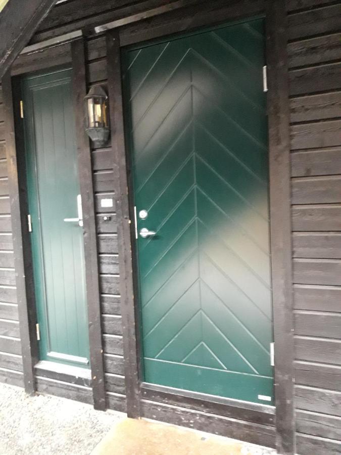 Apartement Roldal Alpingrend Esterno foto