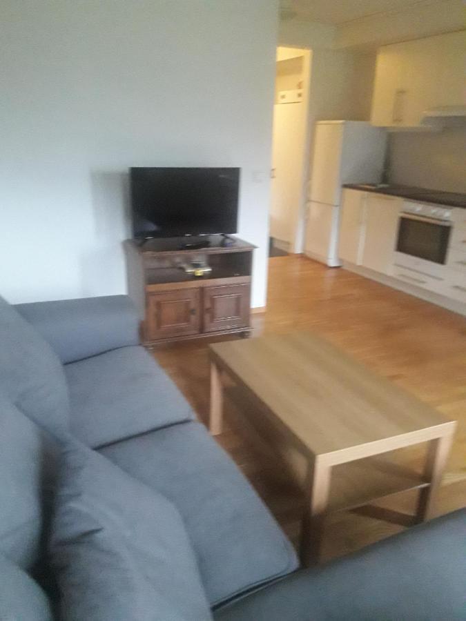 Apartement Roldal Alpingrend Esterno foto
